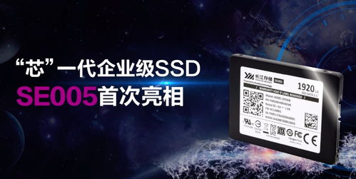 長江存儲發(fā)布新一代企業(yè)級固態(tài)硬盤SE005 1920GB，讀取速度達(dá)530MB/s
