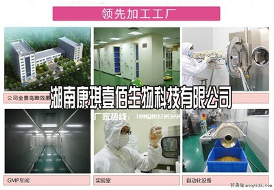 專業(yè)燕麥麩代餐粉代工服務(wù) 從研發(fā)到貼牌的全程解決方案